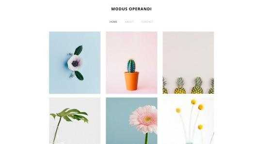 Website Builder - Modus Operandi